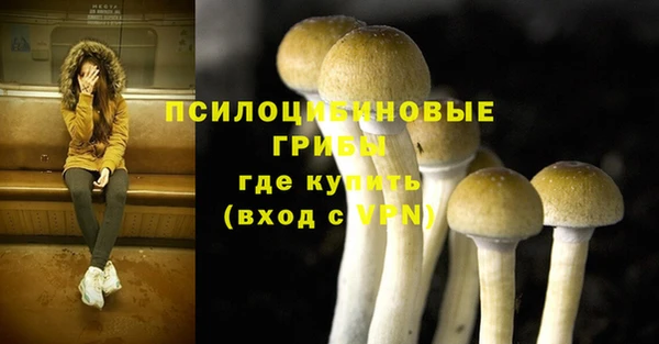 спиды Покровск