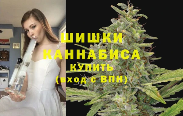 твердый Покачи