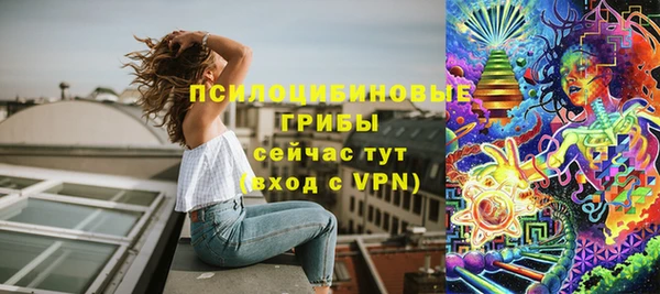 спиды Покровск