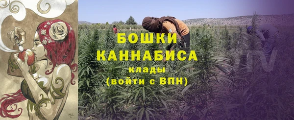 mix Пересвет