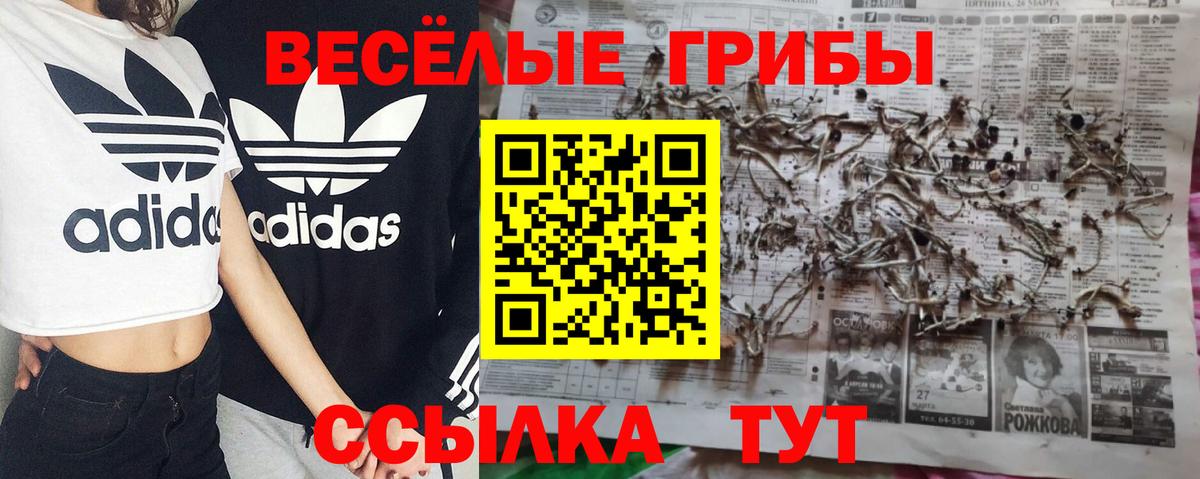 Мяу-Мяу  Конопля  МАРИХУАНА  Вход с VPN  Где найти наркотики?  Cocaine  Североморск  ГАШ 