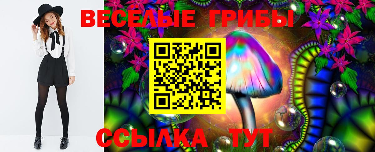 Галлюциногенные грибы Psilocybine cubensis Североморск