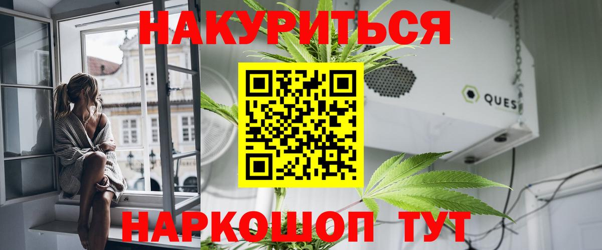 Шишки марихуана MAZAR  Марихуана Amnesia  Конопля планчик  Вход с VPN  Североморск 